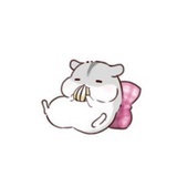 菇凉爱小猪