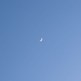 S。