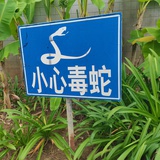 我在山头唱山歌