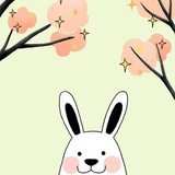 芙蓉花开