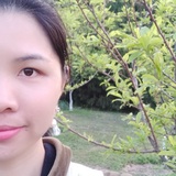 南梅