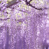 旦旦的天空13