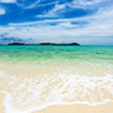 似水君