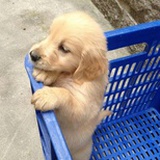 一二