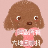 偷影子的人