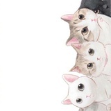 久被牢尘锁