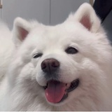 卿卿我心