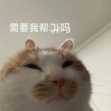 豆友143739156