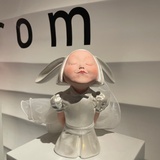 丸子控。。