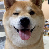 朝暮天北