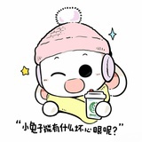 林下风致