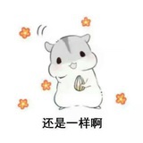 吴朝歌