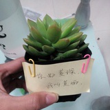 呆青