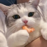 晚安@