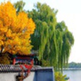 杜渺