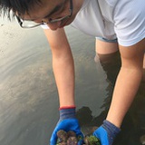 海鲜生—大辉