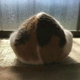 汉周