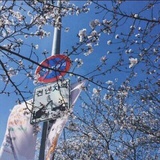 阿花酱