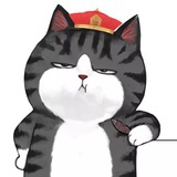 小迷糊🐾