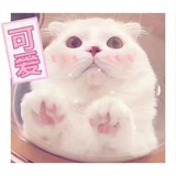 罅隙