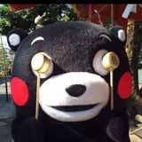 艾琳熊
