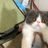 圈圈园园圈圈