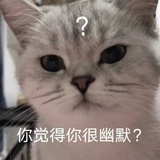 还在江湖吗