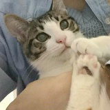 依你这大皮蛋