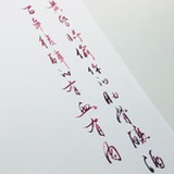 小肋骨