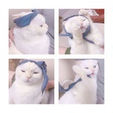 安稳