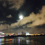 崔崔