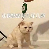 A.