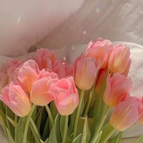 芋圆小丸子