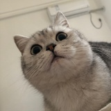 麻了