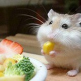 井澈