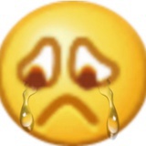 我爱着这颗星辰