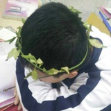 碎石说他傻