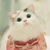 耿婕