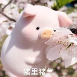 四季奶青去冰