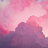 菠萝头