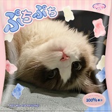 拾四先生