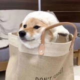 wwwwwk