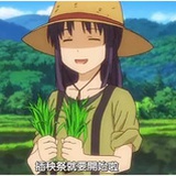 槑槑