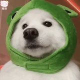 哇咔咔