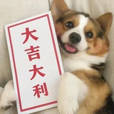 林梓飏