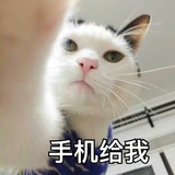 吃饭比赛第一名