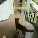 呵呵