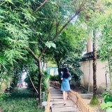盐味隔膜肉