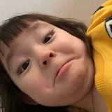 喜乐君