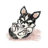 万乡晓巷
